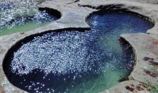 世界上最漂亮的鲨鱼