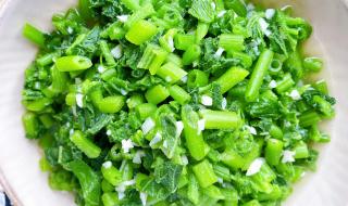 入伏去湿气吃什么好