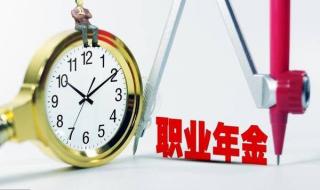 职业年金是什么意思 职业年金是什么意思