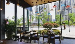 照相说的海马体是啥