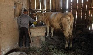 国产牛肉最高涨价20%