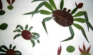 树叶贴画简单又好看